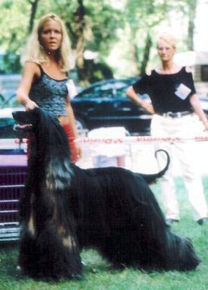 Alice Cooper Gandamak