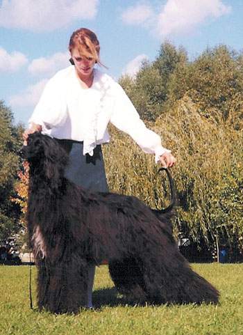 Coco Chanel Gandamak