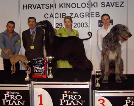 Int.Ch. Fibi & Fletcher Cristi Gandamak