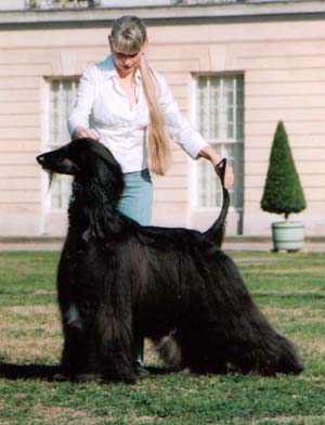 Flash Gordon Gandamak