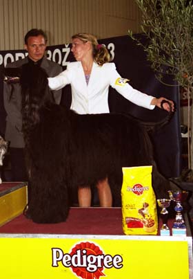 Ch. Fletcher Cristi Gandamak