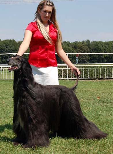 Franco Nero Gandamak