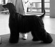 Jacqueline Kennedy Gandamak