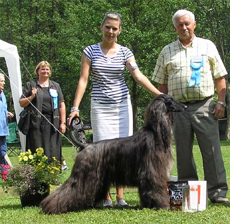 Best female  Multi.Ch. Jennies Joplin  Gandamak