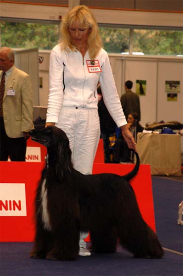 Loreta Lynn Gandamak