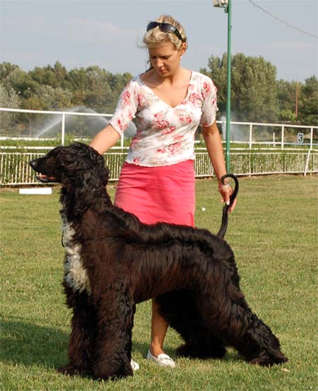 Marlyn Manson Gandamak