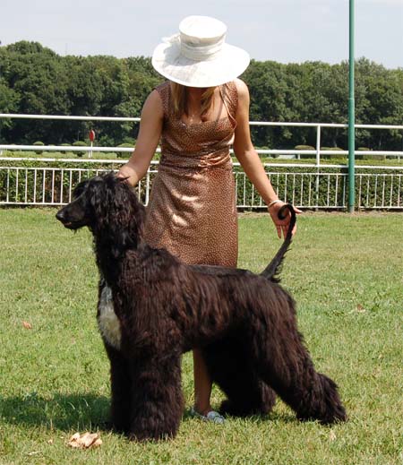 Marcus Aurelius Gandamak