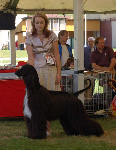 Marcus Aurelius Gandamak