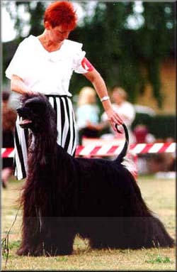 Boxadan Xercise Makes Master