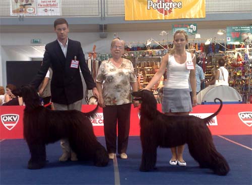 Nancy Gandamak - CACIB