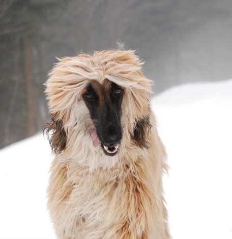 Nastassja Kinski Gandamak