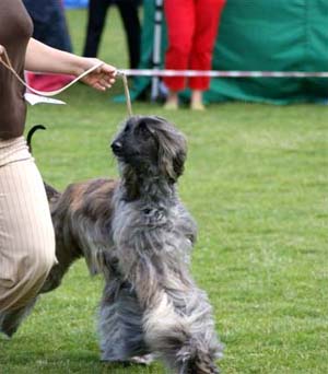 Natalie Wood Gandamak 