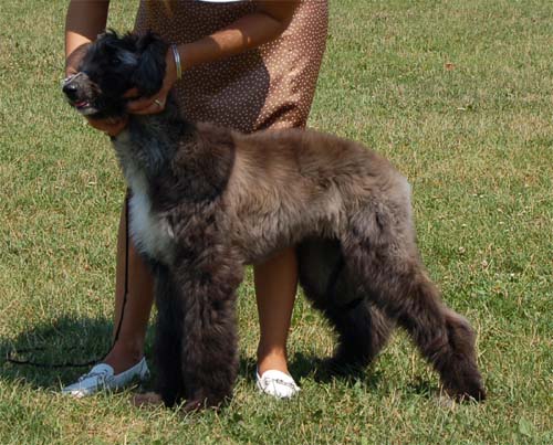 Odetta Lynn Gandamak