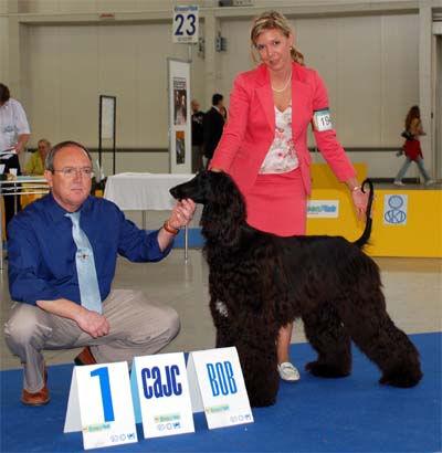 Olivia Newton J. Gandamak - BOB