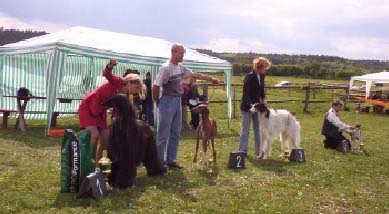 BIS - Fletcher Cristi Gandamak