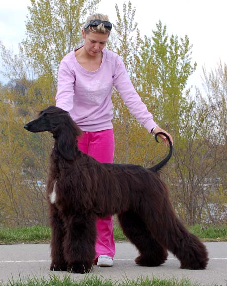 Ornella Mutti Gandamak