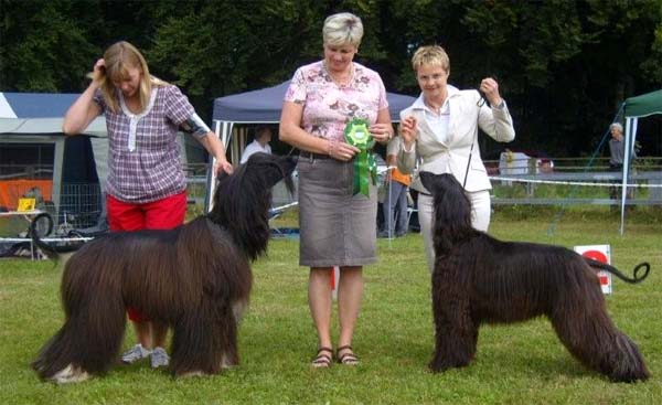 Oxanne Gandamak - BOB