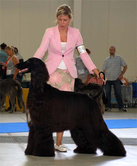 Ozzy Osbourne Gandama