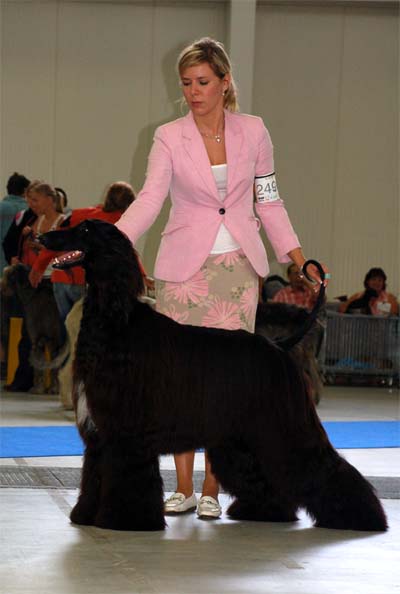 Ozzy Osbourne Gandamak