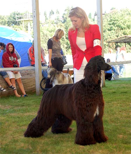 Ozzy Osbourne Gandama