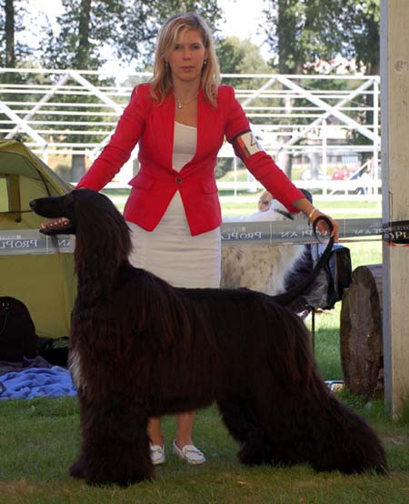 Ozzy Osbourne Gandamak