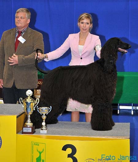 Ozzy Osbourne Gandamak