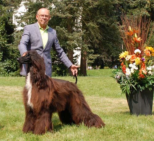 Pablo Picasso Gandamak