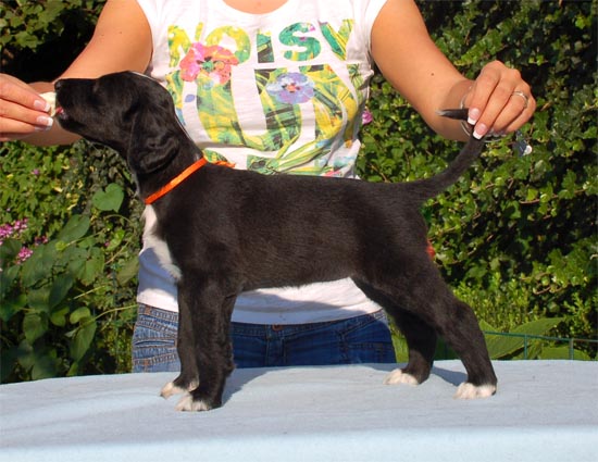 Tina Turner Gandamak 