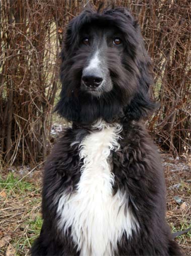 Tiffany Dupont Gandamak