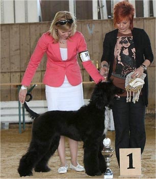 Tracy Champman Gandamak