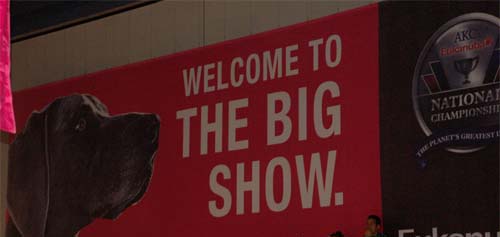 Eukanuba World Challenge 2.December 2007 