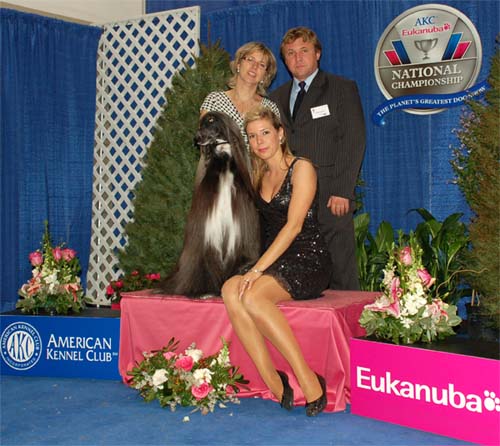 Eukanuba World Challenge 2.December 2007 