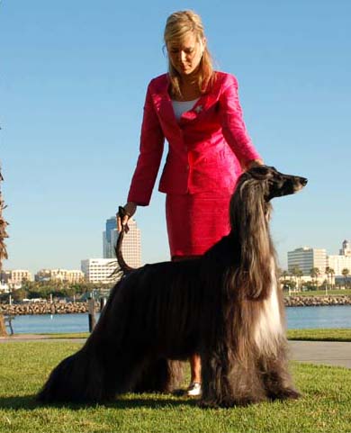 Jennies Joplin Gandamak