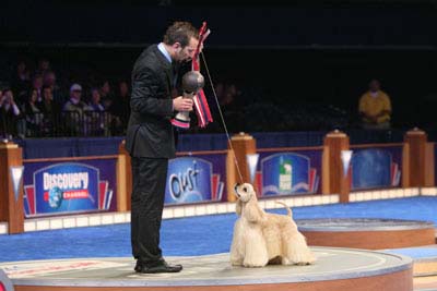 Eukanuba World Challenge Winner 