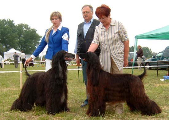 Jacquelin Kennedy & Franco Nero Gandamak